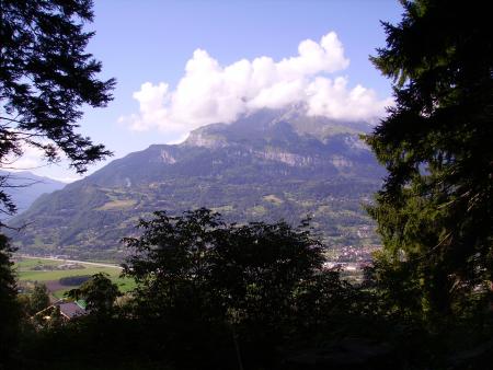 Trou�e dans la for�t !!