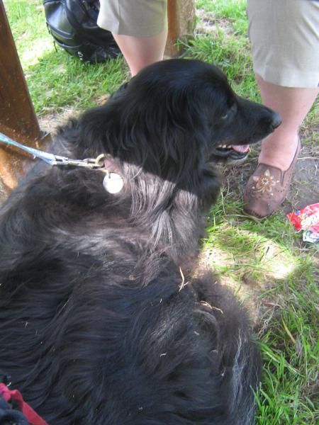 comme  d' habitude!!!...