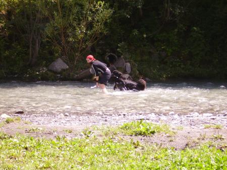 quand meme , tu vois quand tu veux  !!!
