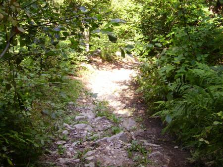 Kamicase dans l'�me !!