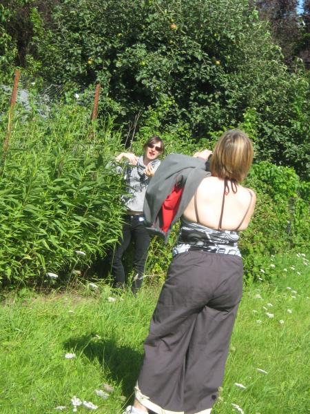 et pendant ce temps... 