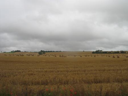 la Normandie et ses couleurs soleil en perdition