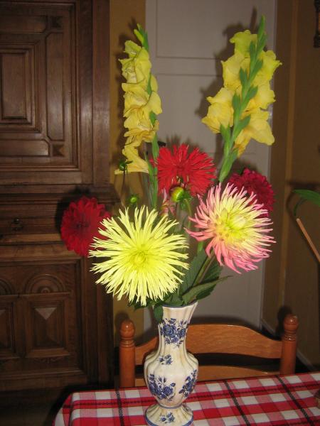 du soleil, dans les vases, on n'a pas le choix