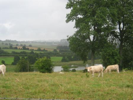 de plus en plus en perdition 