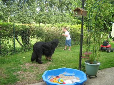 bon je vais le surveiller pour soulager Mamiemyope... quel bolide... nom d'un toutou poilu....