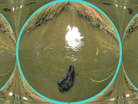 attention si je t'attrape, je te croque...hum!!!hummmm!!!!!