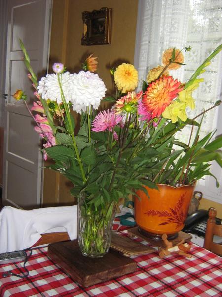 oblig� de les couper pour en profiter car l'orage ab�me tout