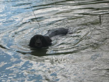 ah!! enfin �a y est, je me d�lecte..... dans l'onde miroitante,