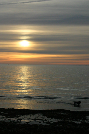 apr�s la temp�te et le chagrin, un peu de s�r�nit� avec ce magnifique coucher de soleil sur la mer.