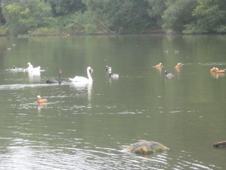 on est au lac!!!!...l�! l�! l�l�re....