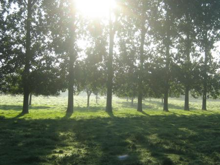 malgr� la brume il fait du soleil, ...