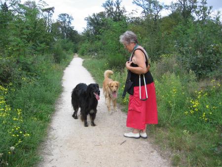 ben quoi c'est d�j� finie les folies!!!!