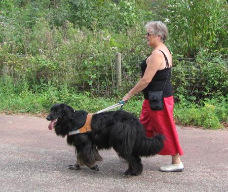 premier conflit avec l'administration.