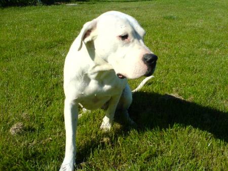 voxane, ma copine de folie.