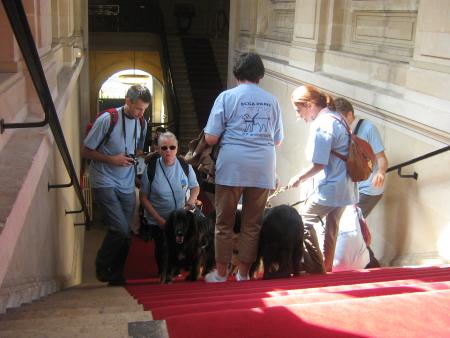 un tapis rouge pour nous hoooouuuu!!!