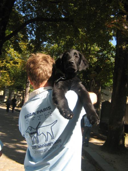 ben!! quoi !!!j'suis fatigu�!!non mais.....