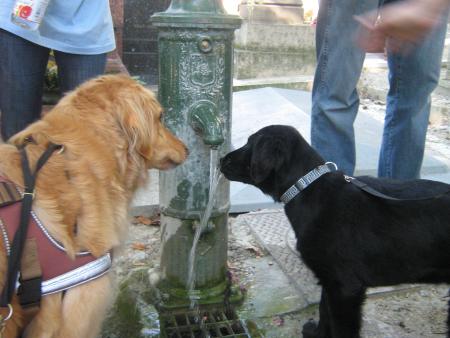 on fait comment? dis hein!!! comme �a?....