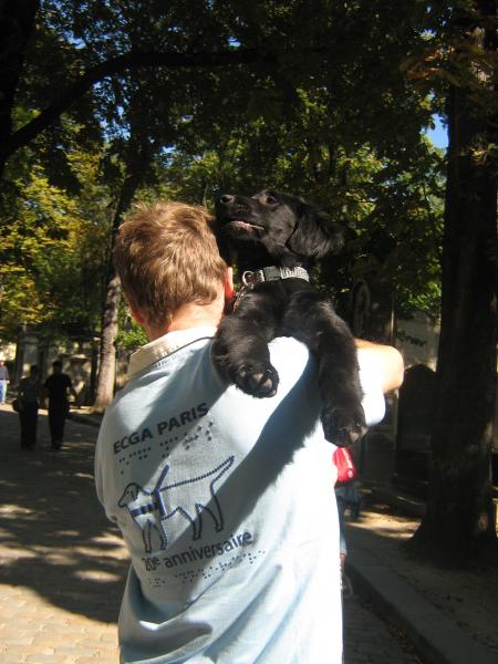 allez !! fais un effort, encore un peu.....