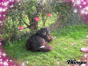 enfin du soleil, je vous fais de grosses l�chettes