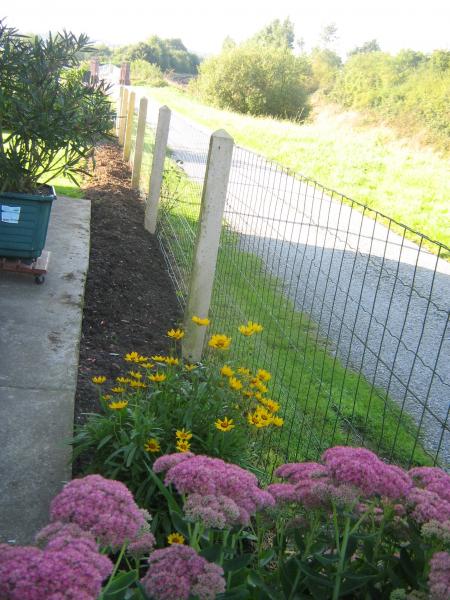 hi! hi! Mamie est vraiment gentille elle a retourn� � nouveau ma 