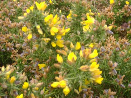 du soleil sous la pluie