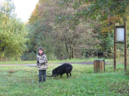 voil� une occupation....