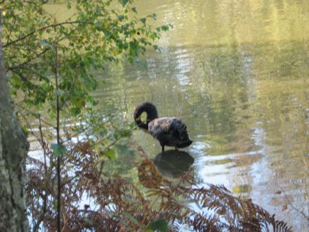 allez!! frotte....t'es tout noir......