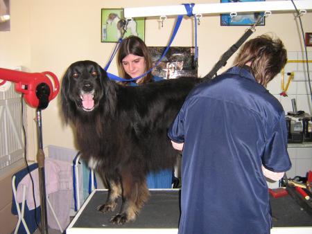 pas touche � mon CUCU...