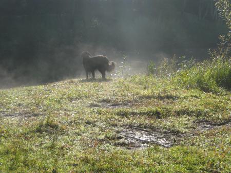 oh! oh!! des sources chaudes....