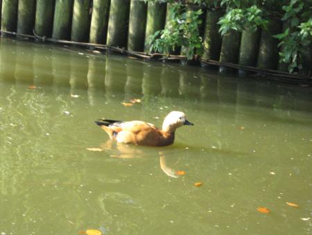 celui l� !!!!!!!...on a trouv� 