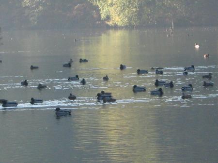 ils sont venus ils sont tous l�.......