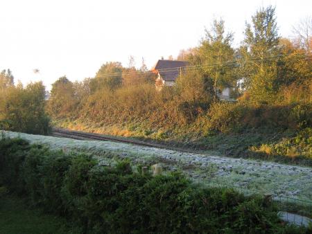 je vais avoir froid � mes pattes.....