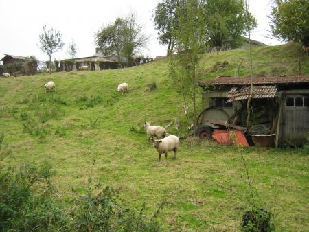 hiiiiiiiiiiiii! j'suis pas  aux AGF