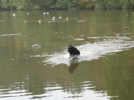 il est derri�re.....