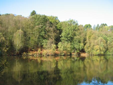 un vol d'outardes sans outardes!!!!!!....