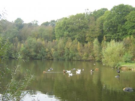 coucou,  j'vous avez d�laiss� pour les mouettes .