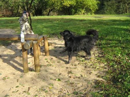 il va le refaire.....