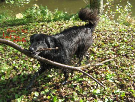 c'est la derni�re fois!....