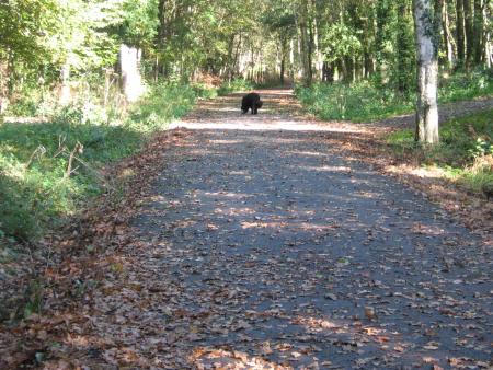 juste un peu de d�tente....