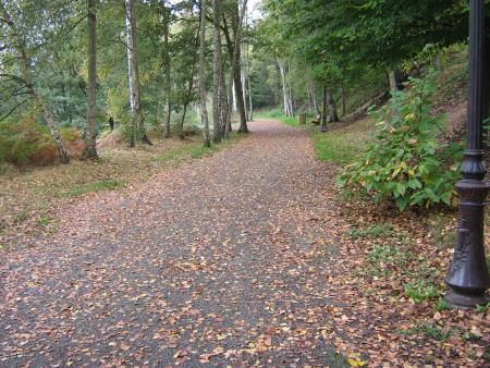 oh! oh!! Monsieur Automne montre son nez.