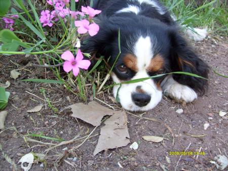 oh!! oh!! la chipie qui a vendue la m�che.....!! mais c'est pas grave...