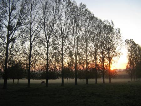 ce matin, 8h45 Mamie commence � aller mieux...