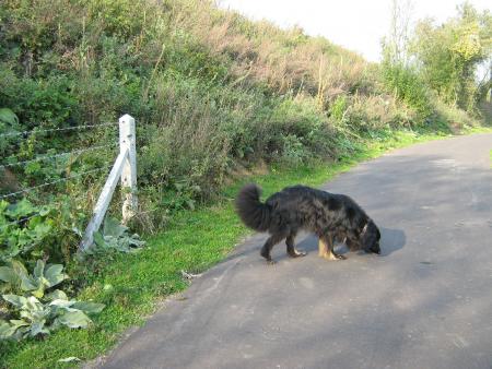 je sais bien le faire.