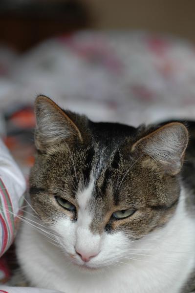 huuuuummmm!!!oh qu'il serait bon!!!miam miam!!