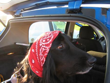 hoooooouuuu! il fait froid!.