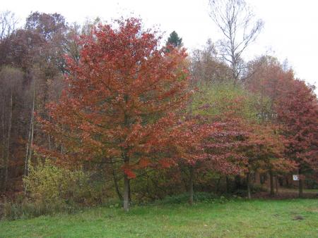 encore et encore.....