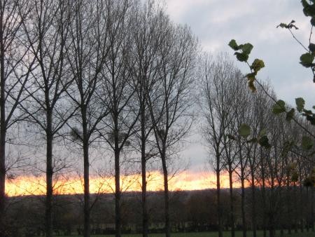 il embrase tout.....