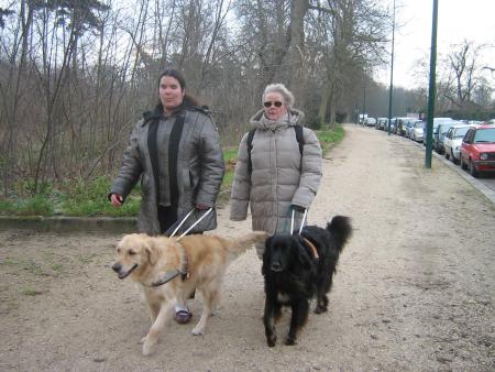 Travail d'accompagnement � l'�cole de Paris...