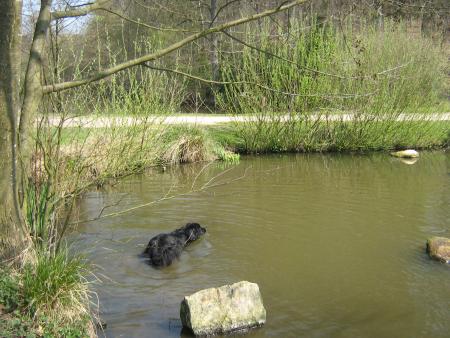 Tiens!.. j'y retourne...