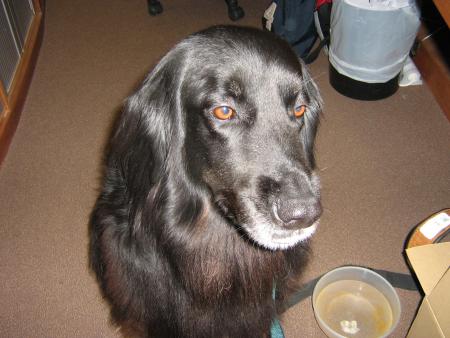 j'ai fait le cirque tout le temps qu'ils m'ont gard�...